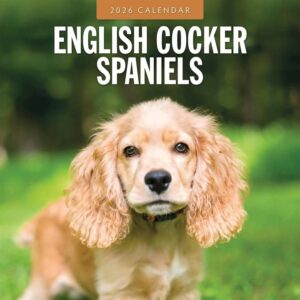 English Cocker Spaniels Calendar 2026
