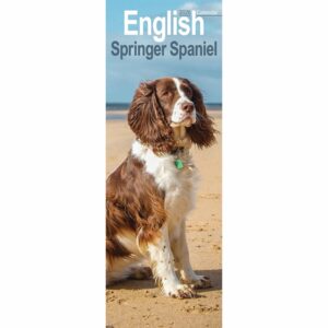 English Springer Spaniel Slim Calendar 2026