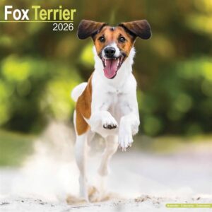 Fox Terrier Calendar 2026