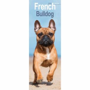 French Bulldog Slim Calendar 2026