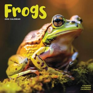 Frogs Calendar 2026