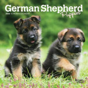 German Shepherd Puppies Mini Calendar 2026