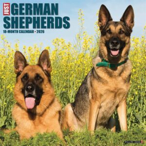 German Shepherds Calendar 2026