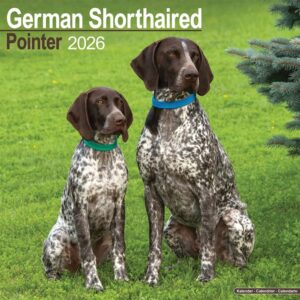 German Shorthaired Pointer Calendar 2026
