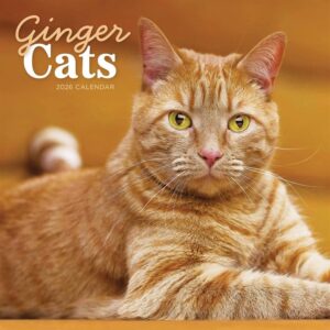 Ginger Cats Calendar 2026