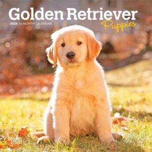 Golden Retriever Puppies Mini Calendar 2026