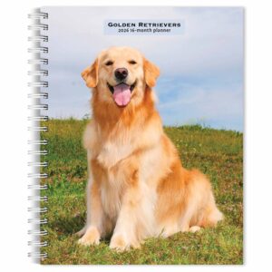 Golden Retrievers A5 Diary 2026