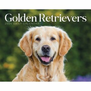 Golden Retrievers Desk Calendar 2026