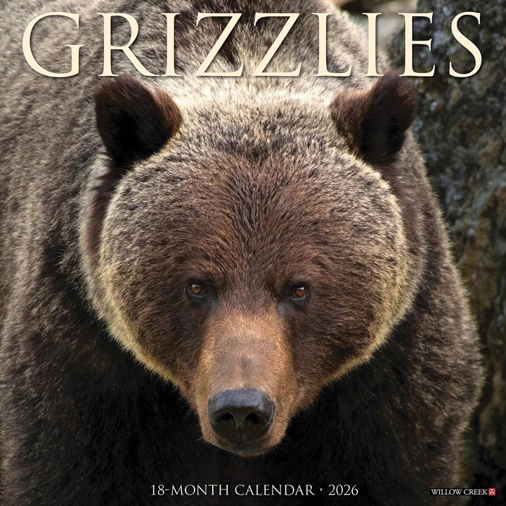 Grizzlies Calendar 2026