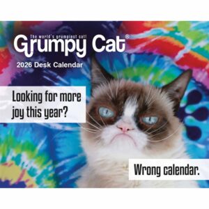 Grumpy Cat Desk Calendar 2026