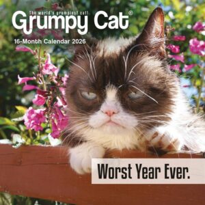 Grumpy Cat Mini Calendar 2026