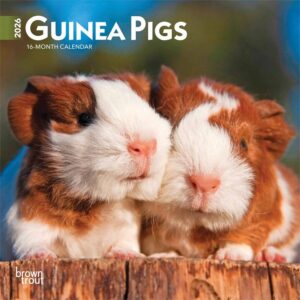Guinea Pigs Mini Calendar 2026