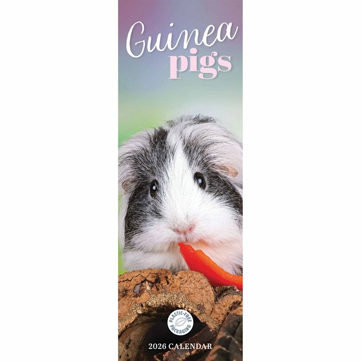 Guinea Pigs Slim Calendar 2026