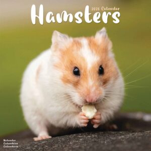 Hamsters Calendar 2026