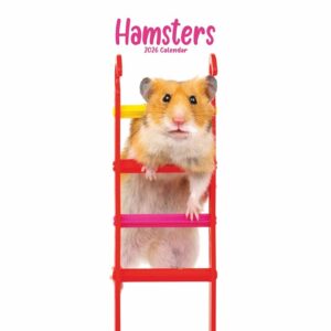 Hamsters Slim Calendar 2026