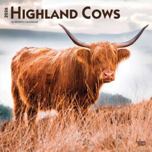 Highland Cows Calendar 2026