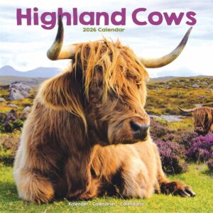 Highland Cows Calendar 2026