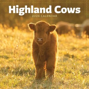 Highland Cows Mini Calendar 2026