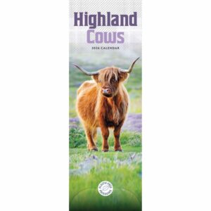 Highland Cows Slim Calendar 2026