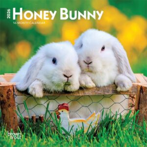 Honey Bunny Mini Calendar 2026
