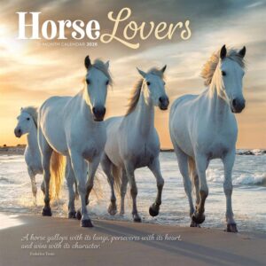 Horse Lovers Calendar 2026