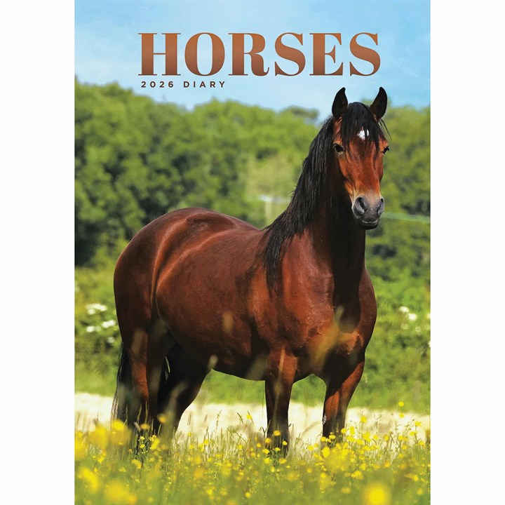 Horses A5 Diary 2026
