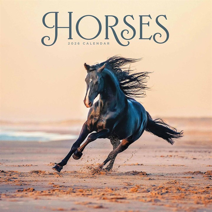 Horses Calendar 2026