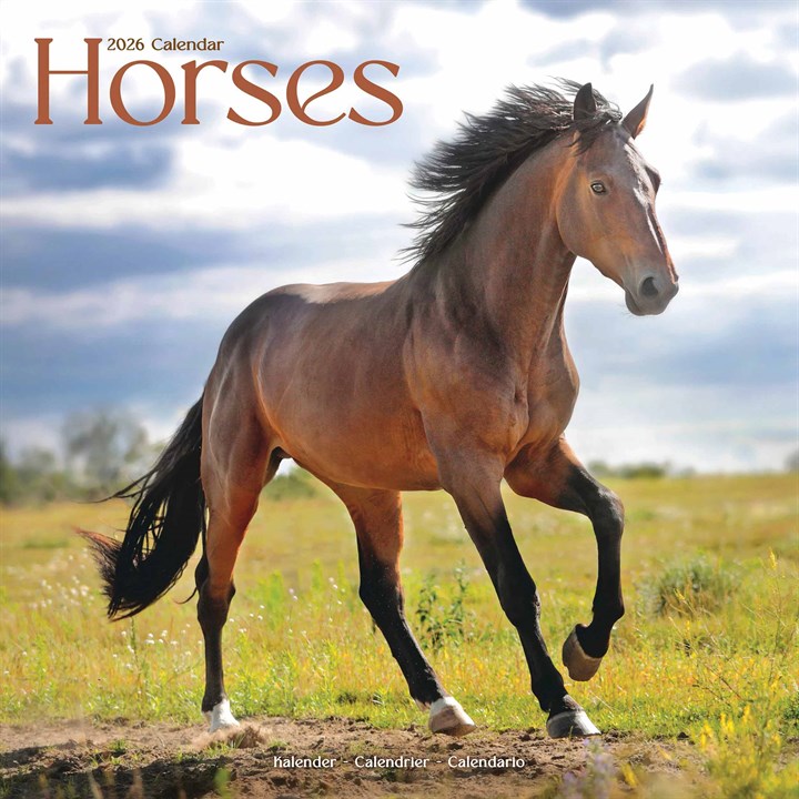 Horses Calendar 2026