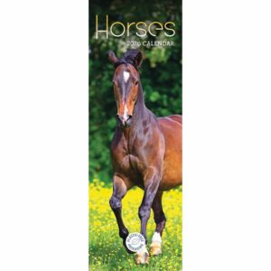 Horses Slim Calendar 2026
