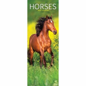Horses Slim Calendar 2026