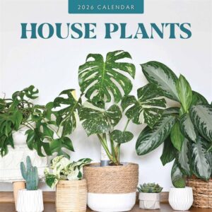 House Plants Calendar 2026
