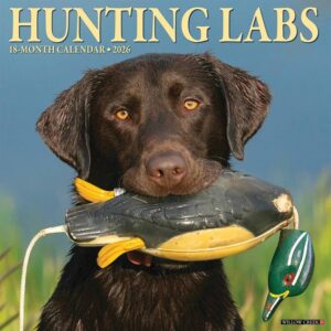 Hunting Labs Calendar 2026