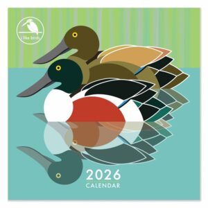 I Like Birds Calendar 2026