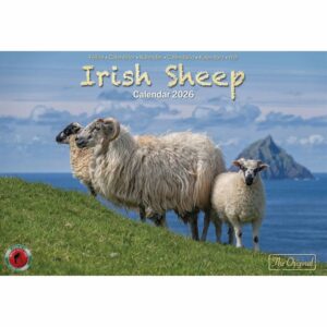 Irish Sheep A4 Calendar 2026