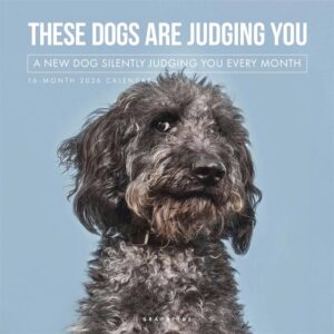 Judgemental Dogs Calendar 2026