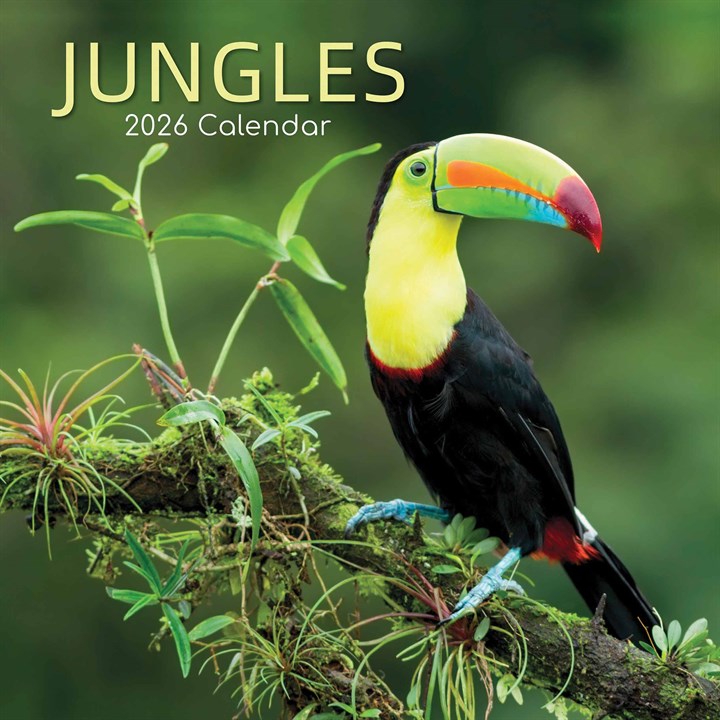 Jungles Calendar 2026