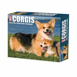 Just Corgis Desk Calendar 2026