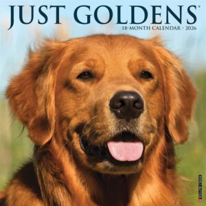 Just Goldens Calendar 2026