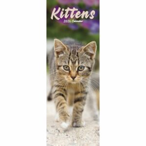 Kittens Slim Calendar 2026