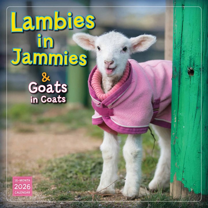 Lambies In Jammies Calendar 2026
