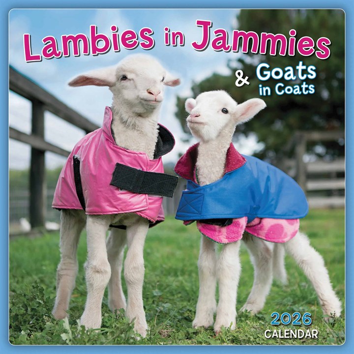 Lambies In Jammies Mini Calendar 2026
