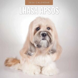 Lhasa Apsos Calendar 2026