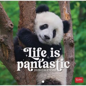Life is Pandastic Mini Calendar 2026