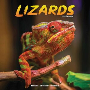 Lizards Calendar 2026