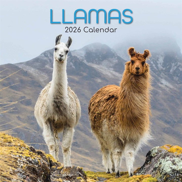 Llamas Calendar 2026