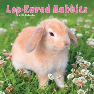 Lop-Eared Rabbits Calendar 2026