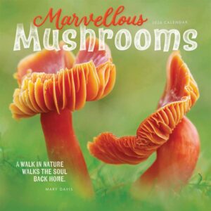 Marvellous Mushrooms Calendar 2026