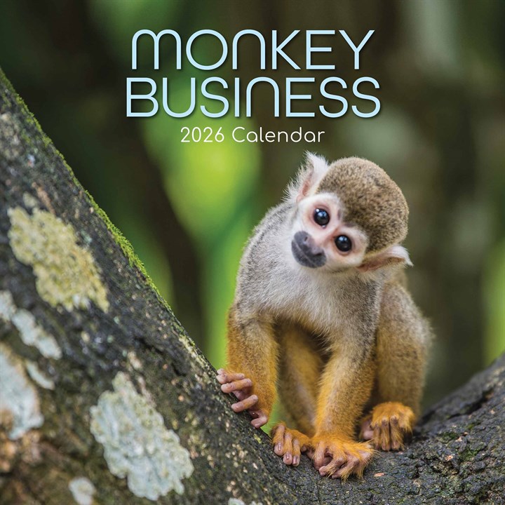Monkeys Calendar 2026