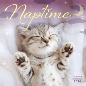 Naptime Cats Calendar 2026