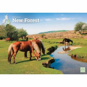 New Forest A4 Calendar 2026